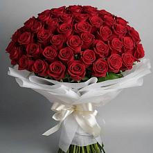 Букет 101 Красная роза Блэк Мэджик в Гостилицы