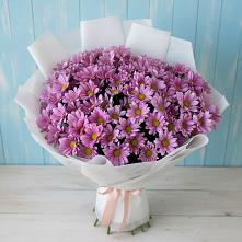 Букет цветов из:  Хризантемы в Гостилицы