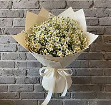 Букет цветов из:  Ромашки #REPLACE_PRED# Гостилицы