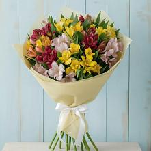 Букет цветов из:  Альстромерии в Гостилицы