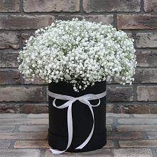 Цветочная композиция из Гипсофила в шляпной коробке #REPLACE_PRED# Гостилицы
