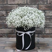 Цветочная композиция из Гипсофила в шляпной коробке в Гостилицы