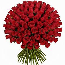 Букет Красные розы Чери Лав в Гостилицы
